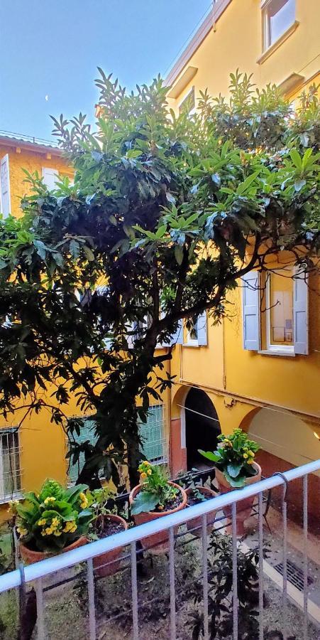 Mars41 B&B Bolonia Exterior foto